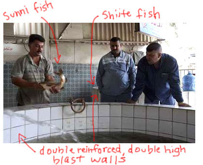 Sunni-Fish-1