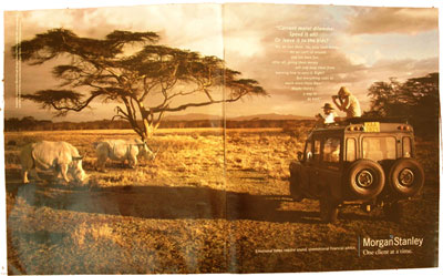 Shooting Rhinos