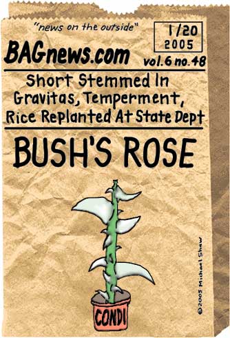 Vol6No48Bushsrose80