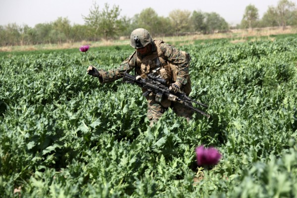 Afghanistan: Field of Dreams II