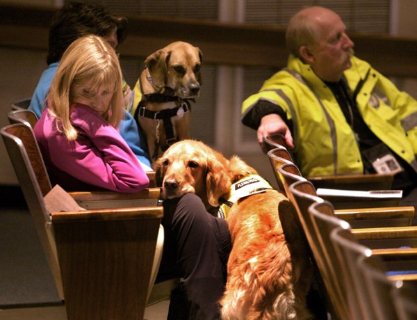 A Few Photos From Newtown: Crisis Dogs and Ties that Bind