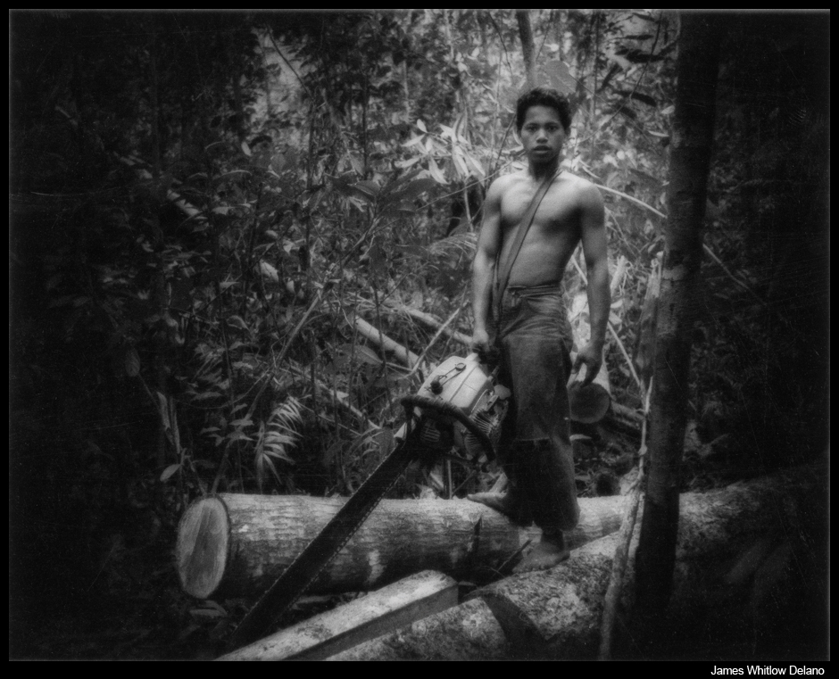 James Whitlow Delano – First Dispatch: Return to the Rainforest