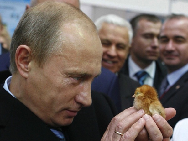 Putin holding chick