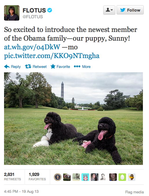White House & Puppies + Twitter & Instagram = Media Fetching & Rolling Over