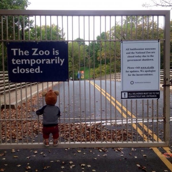 The Saddest/Most Viral Shutdown Photos (Or: It's a Zoo Out There)