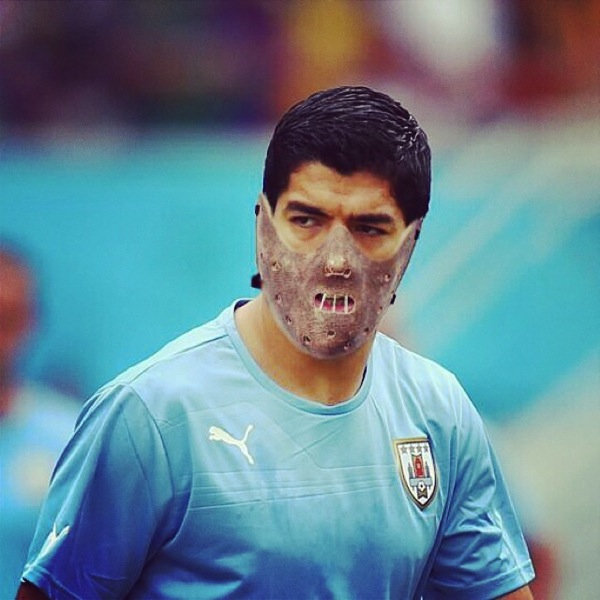 Suarez Lambs