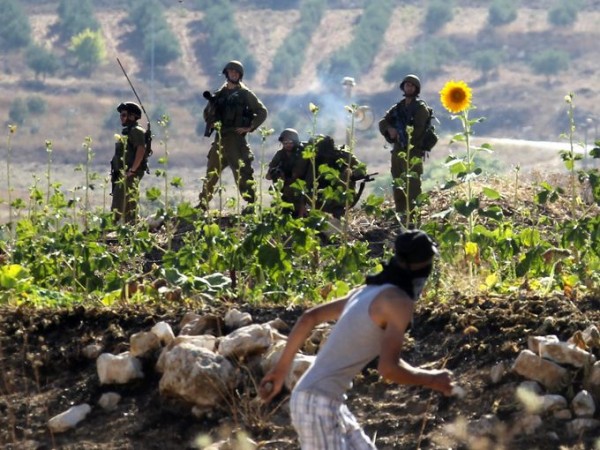 Israel/Gaza: Photos at Two Ends of a Week