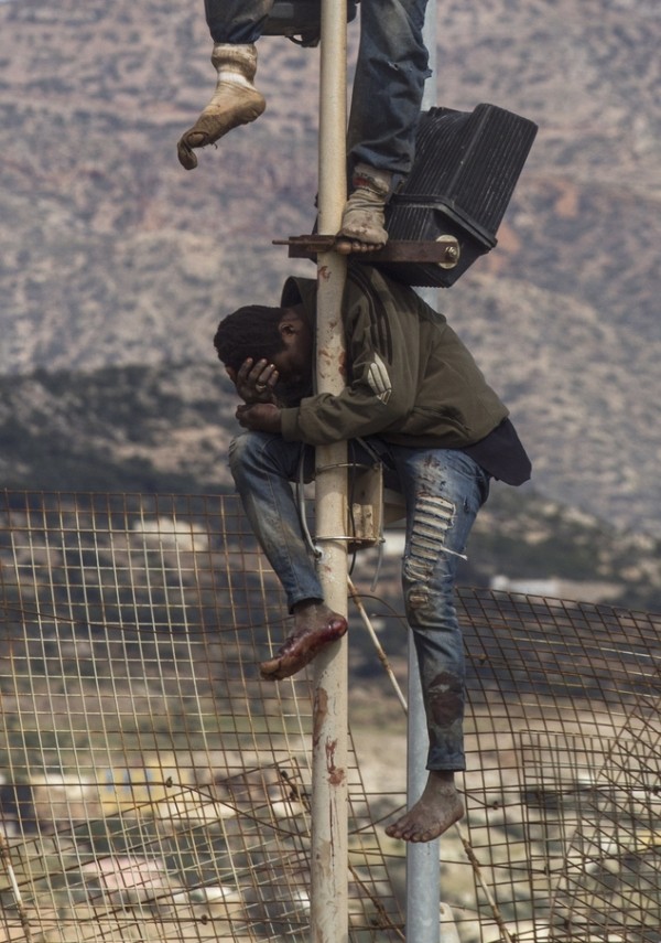 On Those Migrants Up a Pole (POYi Spot News Award)