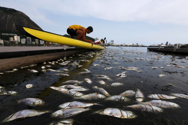 Mediterranean Crisis: Ecology is About People, Too