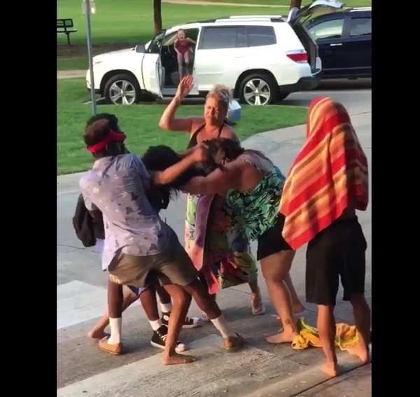 McKinney Mom fight