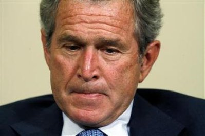 Bush Bailout