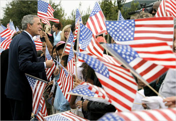 Bush-Flags