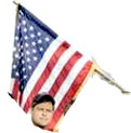 Bushno911Flag