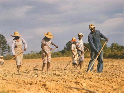 Sharecroppers-1