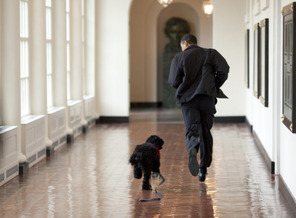 Obama family welcomes new puppy. (White House photo by Pete Souza)