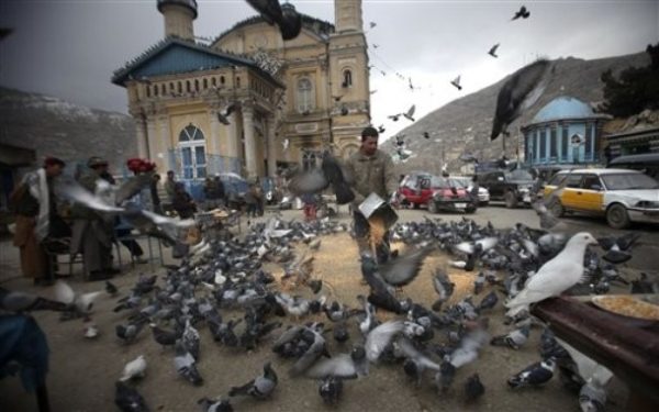 An Afghan man feed pigeons outside a mosque in a market in Kabul, Afghanistan, Monday, Feb. 22, 2010. A NATO air strike in Afghanistan killed as many as 33 civilians, triggering a government protest over noncombatant deaths that undermine a stepped-up offensive to defeat Taliban insurgents. (AP Photo/Altaf Qadri)