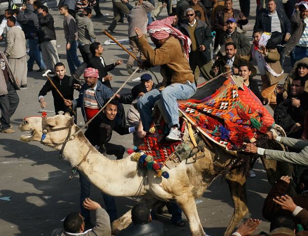 Chris Hondros on the Madness in Tahrir Square