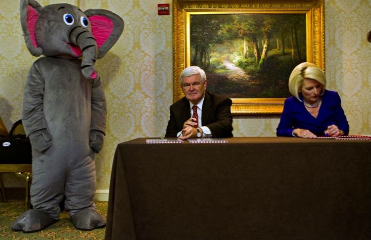 Newt and The Elephant in the Room