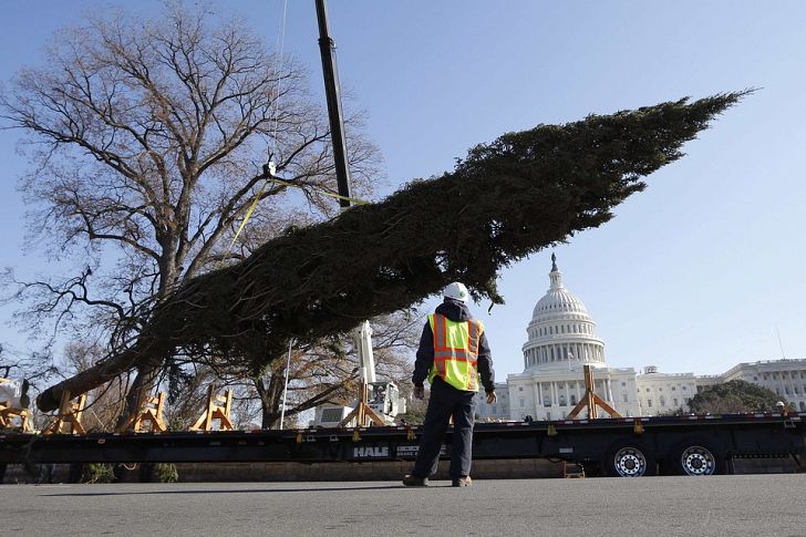 DC Missile Tow (or: A Pointed Thought on News Photos, War and Repression)