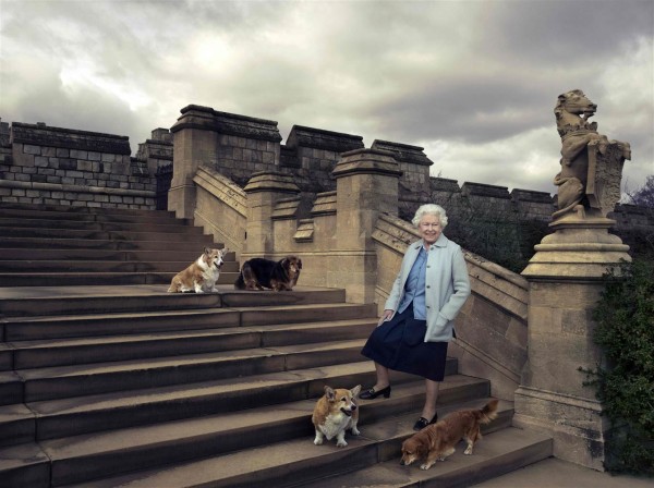 Queen Elizabeth II poses on the steps of the east terrace with four of her dogs, clockwise from top left, Willow, Vulcan, Candy and Holly in the garden of Windsor Castle. ANNIE LEIBOVITZ / via AFP - Getty Images