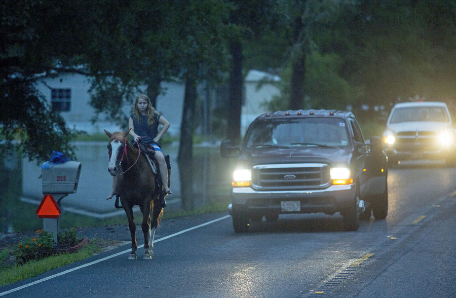 photo: Max Becherer / AP. caption. In this Sunday, August 14, 2016 photo, a girl takes her pony for a walk on a dry road near flooded homes in Walker, Louisiana.