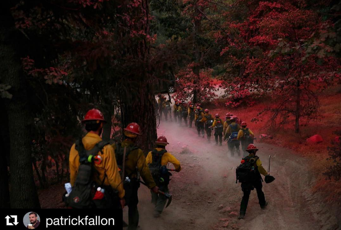 Earth, Air, Fire, Water: Our Twitter/Instagram Favs of the Week