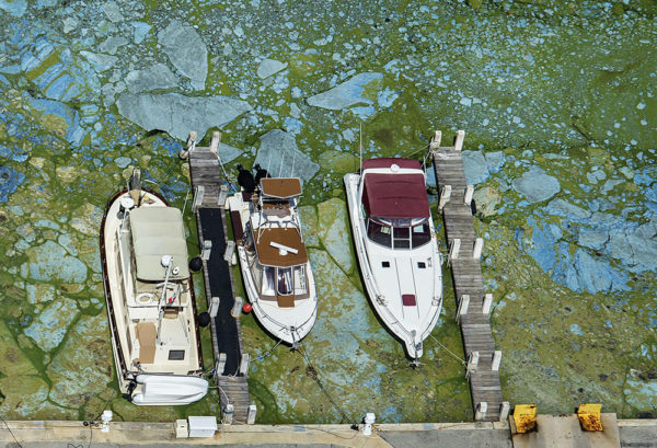 Toxic algae bloom crisis hits Florida, drives away tourists. Photo: Greg Lovett/The Palm Beach Post/Associated Press.