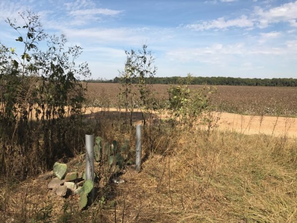 Missing Emmett Till memorial marker.