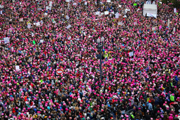 Sea of demonstrators wearing pussy caps at the Woman's March in Washington. January 2017. Twitter: @rmayersinger