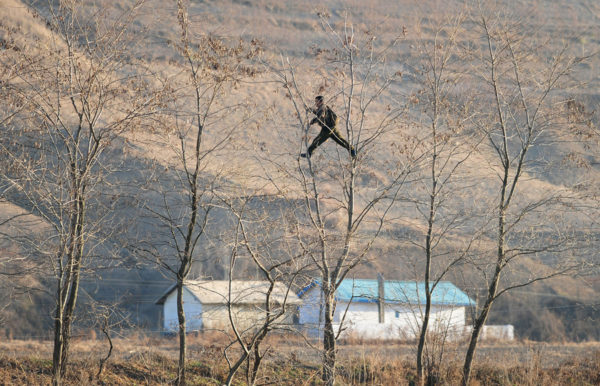 A North Korean soldier climbs trees on the banks of the Yalu River across the river from Dandong in northeast China's Liaoning province on November 25, 2010. # Frederic J. Brown / AFP / Getty