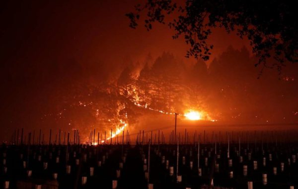 Photo: Carlos Avila Gonzalez, The San Francisco Chronicle. A grove of trees near Trinity Road glows as it burns near a vineyard after a mandatory evacuation was called in the area of Glen Ellen, Calif., on Wednesday, October 11, 2017. The Napa and Sonoma valleys continue to be under threat from several fires not yet under control and growing fears that strong winds might worsen the situation.