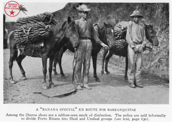 Photo 4: Museum of the Old Colony/Pablo Delano Caption: A ‘Banana Special’ en Route for Barranquitas.” Sourced from National Geographic, 1924, from the article, “Porto Rico, the Gate of Riches.”