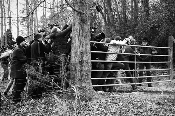 jimwatsonafp/Instagram. Caption: Republican Senatorial candidate Roy Moore (R) ties his horse to the fence while reporters try to get photos as he arrives to vote at a polling station in Gallant, Alabama. 