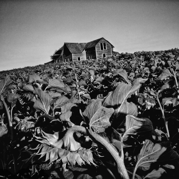 Photo: Matt Black Hosmer, SD. Empty farmhouse. Hosmer is a town in Edmunds County, South Dakota. The population is 208 and 28.2% live below the poverty level.