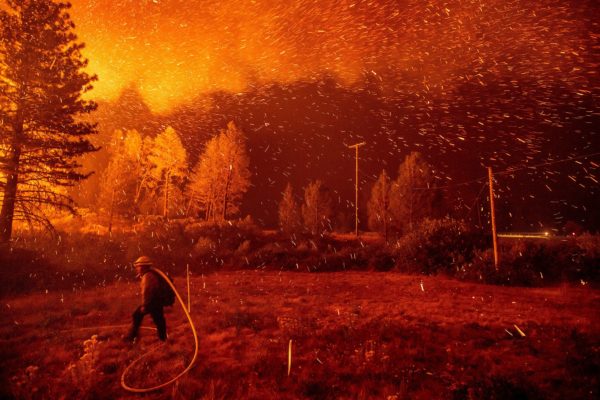 Photo: Noah Berger/Associated Press Caption: A wildfire in Shasta-Trinity National Forest in California last month. The new I.P.C.C. research found that wildfires are likely to worsen if steps are not taken to tame climate change.
