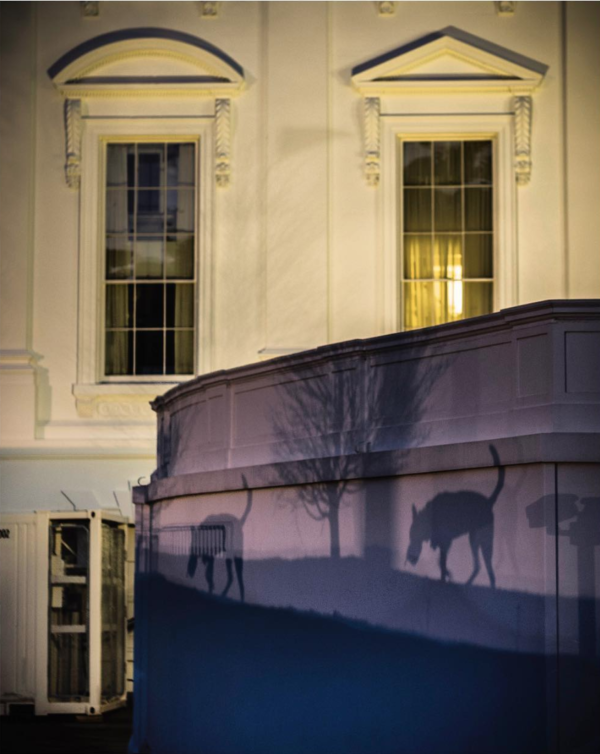 Photo: David Butow. March 22, 2019. Shadows from a Secret Service dog are projected onto an exterior wall of the White House this evening , a few hours after Robert Mueller submitted his long-awaited report to the Atty General.. POTUS is in Florida.