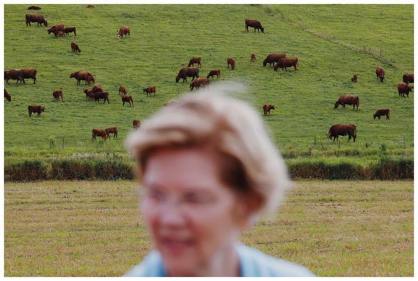 Photo: Tom Brenner/New York Times via Instagram Senator Elizabeth Warren tours Western Iowa on the 2020 campaign trail.