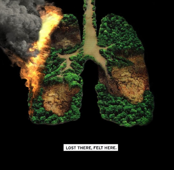 Amazon lungs meme via Twiiter.