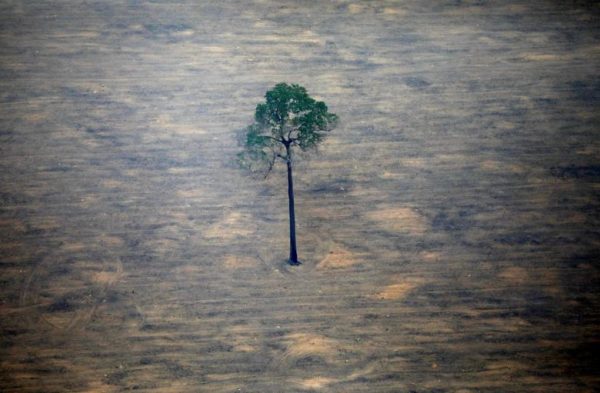 Photo 1: Bruno Kelly/Reuters. Caption: An aerial view shows a deforested plot of the Amazon near Porto Velho, Rondonia State, Brazil.