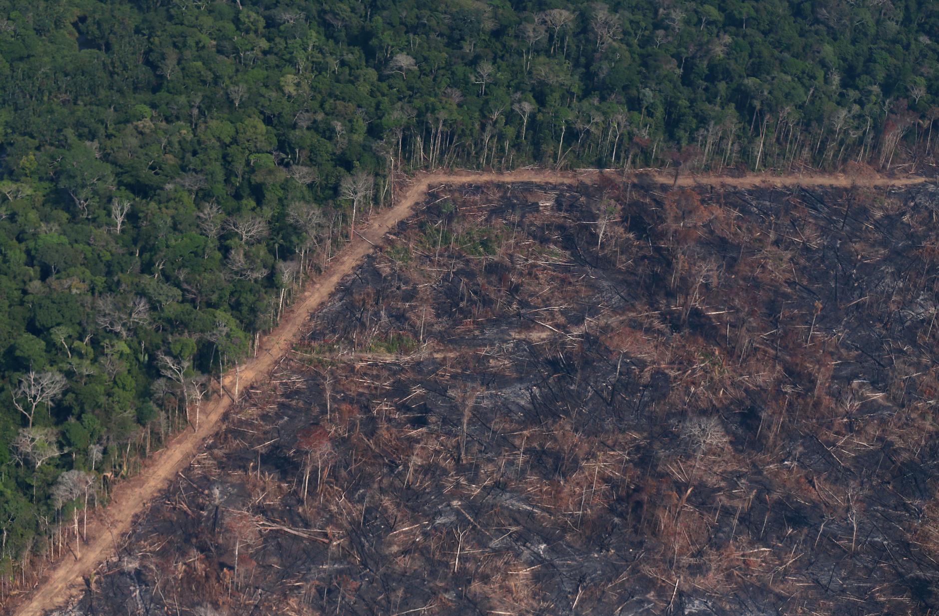 Photo 2: Ricardo Moraes/Reuters. Caption: More than 70,000 fires have been seen this year. 