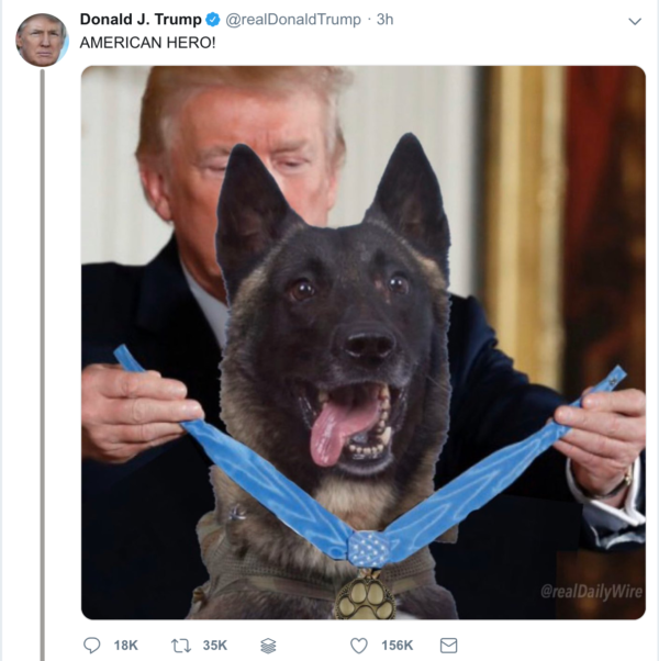 Meme of Conan the dog, tweeted by Donald Trump