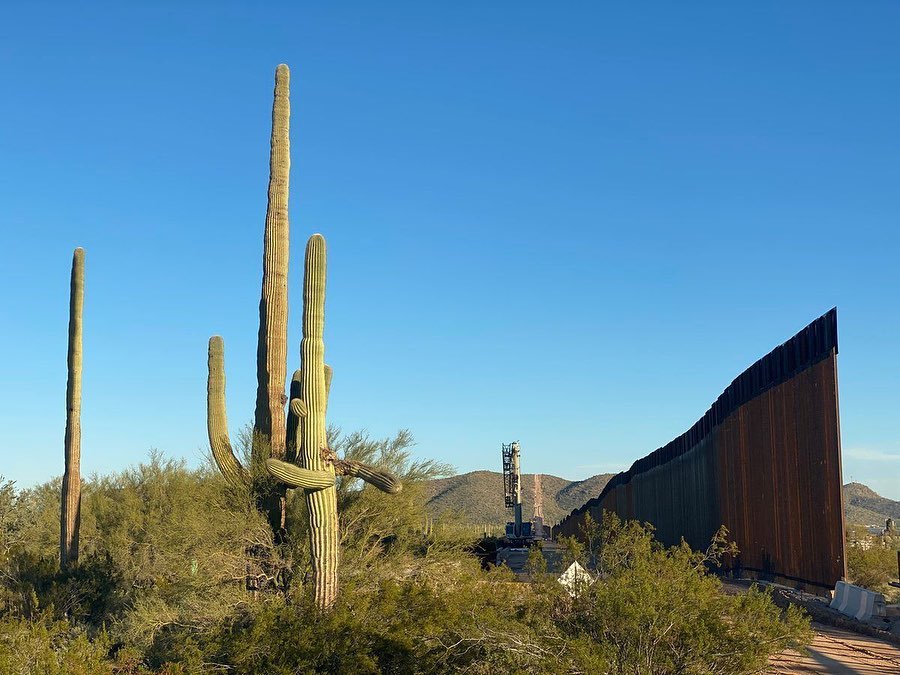 Saguaros and the Steely Monolith