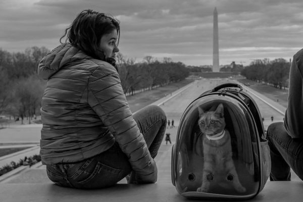 Photo: Alex Wroblewski/Instagram. Caption:LL QUIET ON THE WESTERN FRONT: DC is at a standstill as the number of people infected with COVID-19 worldwide passes 200,000 with the death toll above 8,000. There have been nearly 8,000 cases reported in the US with more expected to come.