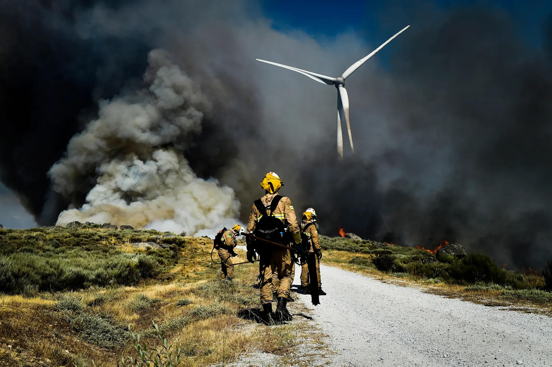 Chatting the Pictures: When the Wind Turbine Met the Wildfire