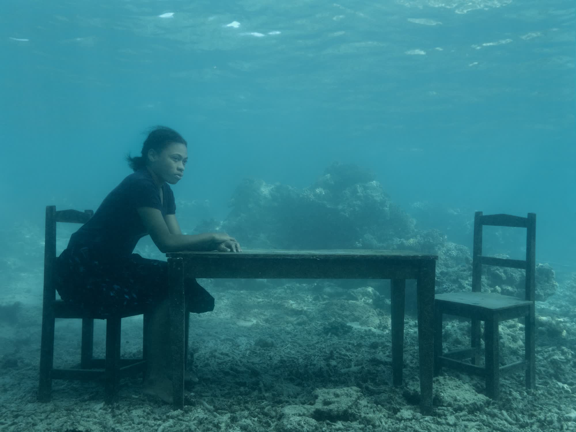 Chatting the Pictures: Personal Meets Political in Undersea Climate Change Portraits